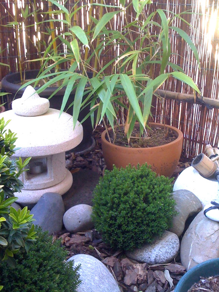 Mini jardin japonais sur un balcon